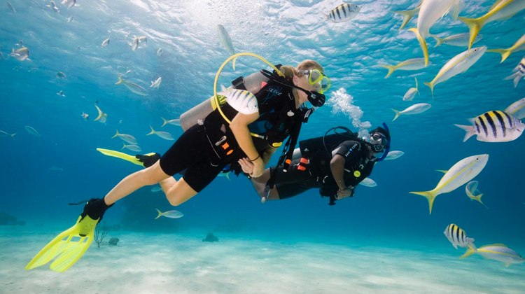 Certification de plongée sous-marine PADI | Activités à bord | Royal  Caribbean Cruises