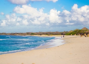 arashi beach aruba