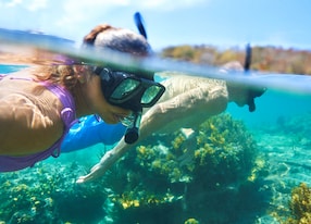 Cas Cay Small Group Adventure Kayak Hike and Snorkel Snorkeling