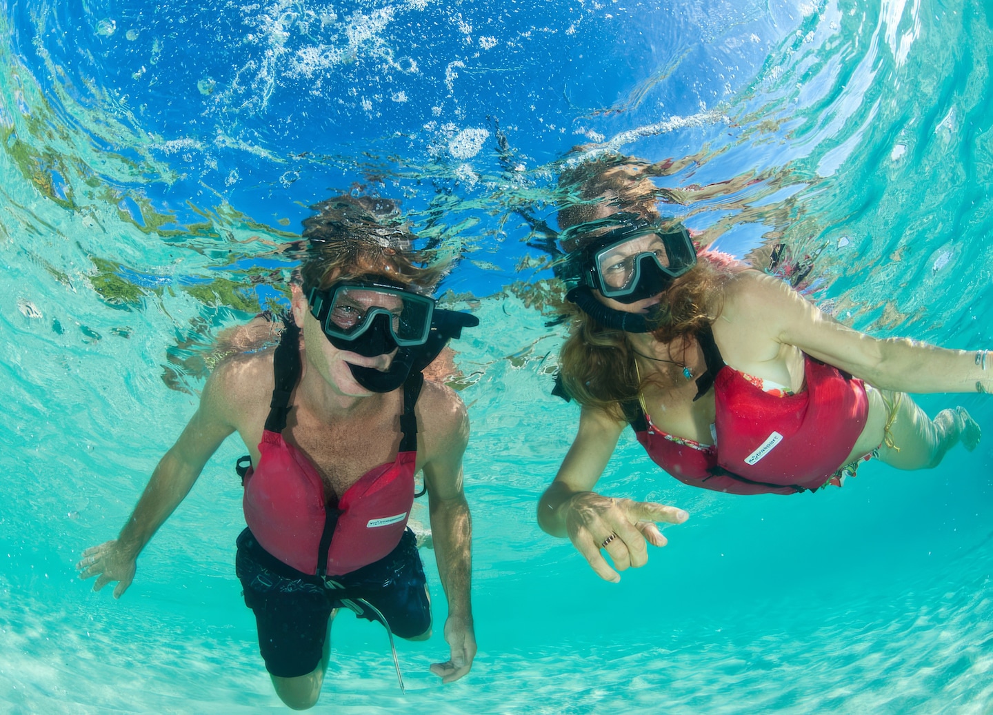 Explore the wonders of the sea snorkeling and diving into the diverse ecosystem. - Philipsburg, St. Maarten