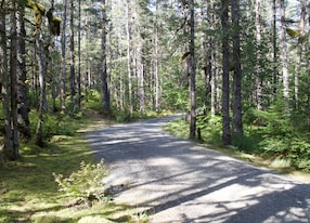 bike and brew glacier view forest trail path juneau alaska united states