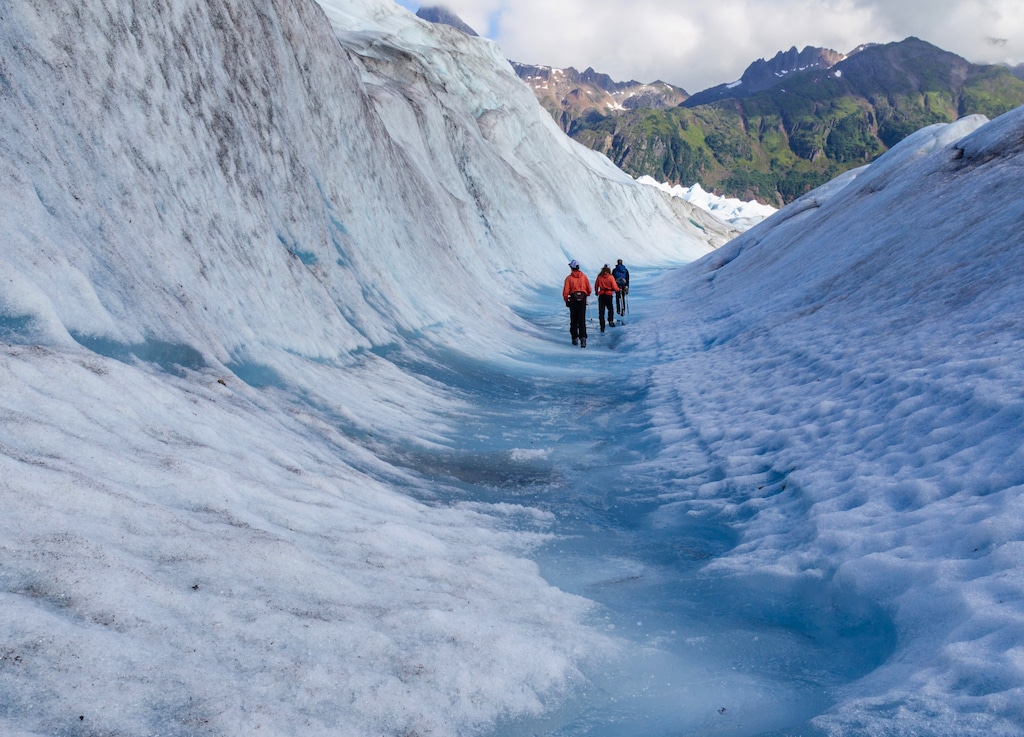 Glacier Excursions in Juneau, Alaska