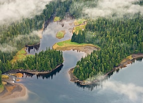 aerial view forests lakes mist tongass