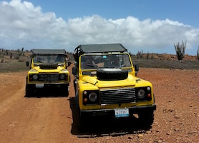 yellow trucks driving through dirt road