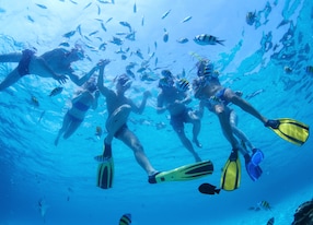 group people snorkeling underwater school fish