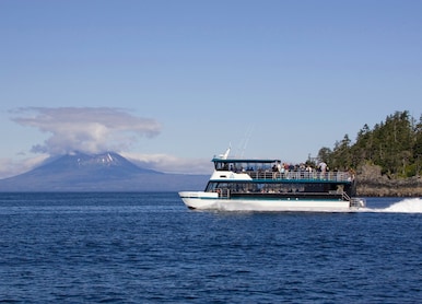 Sea Otter and Wildlife Quest Tour Boat