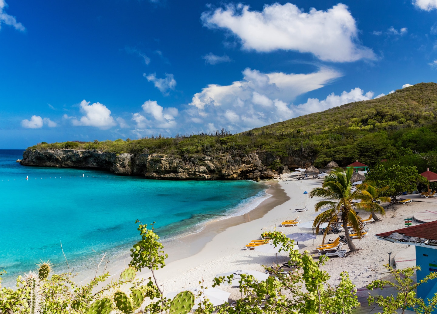 Playa Kenepa, one of the most famous beaches in the world, is the perfect place to soak in the sun and swim in crystal turquoise waters. - Willemstad, Curacao